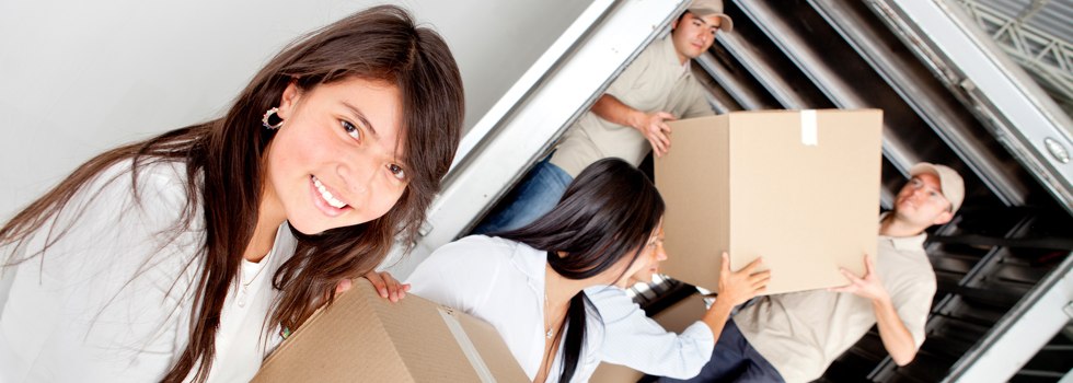 Professional Removalists Hatton Vale